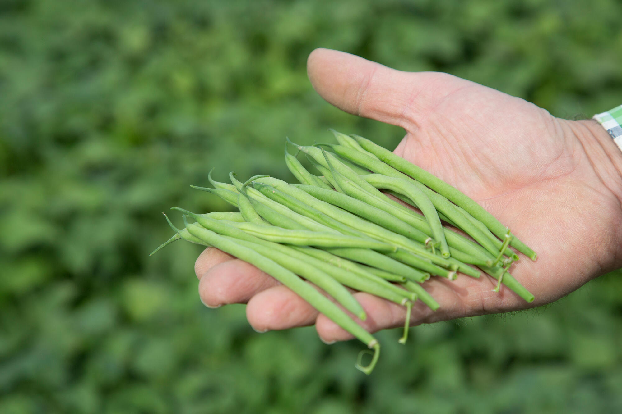 /assets/images/articles/corporate-banner-img.jpg